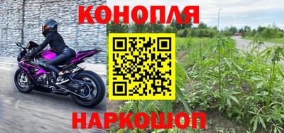 скорость Бердск
