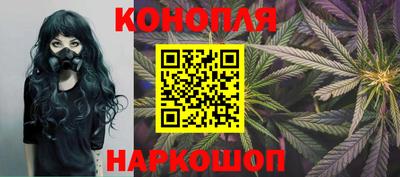 скорость Бердск