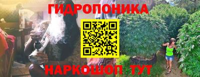 скорость Бердск