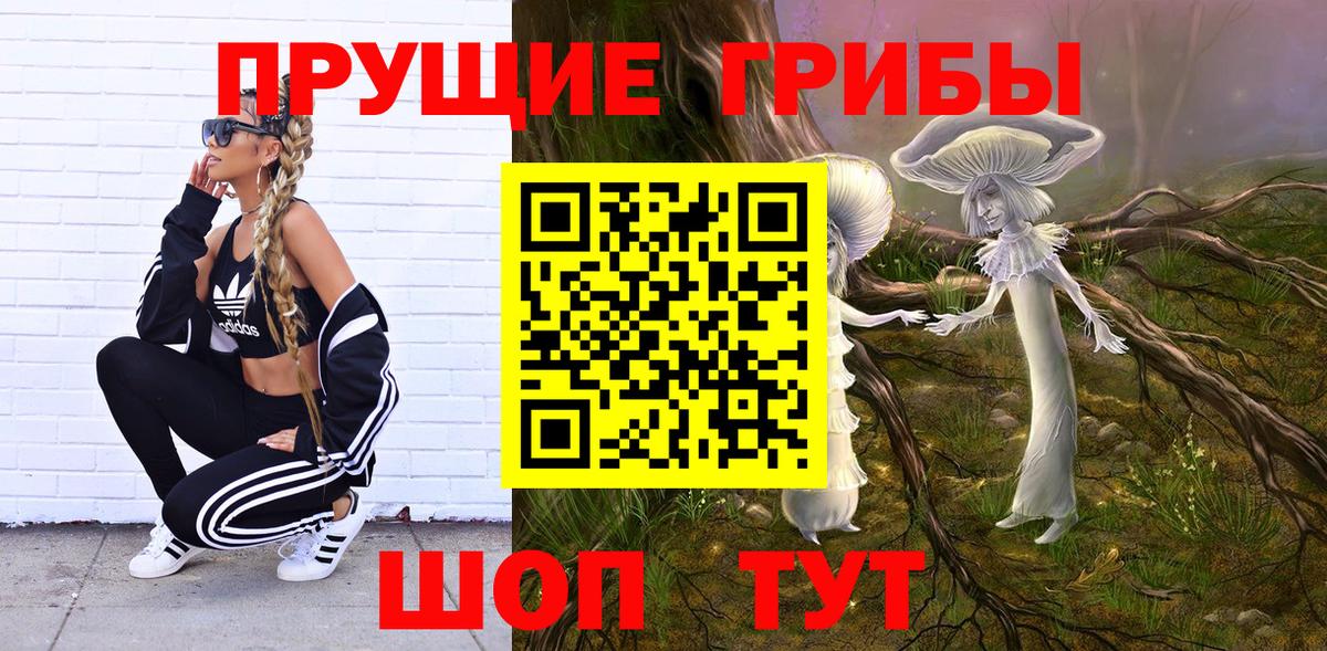 как найти закладки  Псилоцибиновые грибы MAGIC MUSHROOMS  Вход с VPN  Дербент  Псилоцибиновые грибы прущие грибы 
