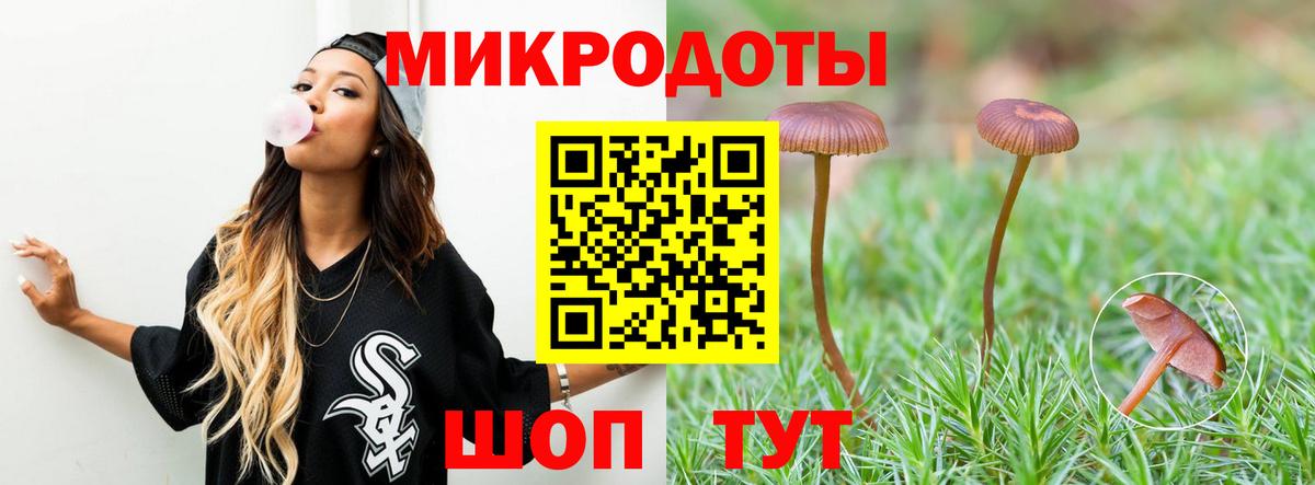 Псилоцибиновые грибы мицелий Дербент