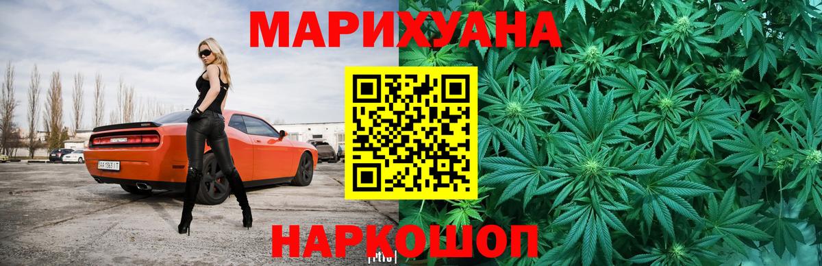 Конопля сатива Дербент
